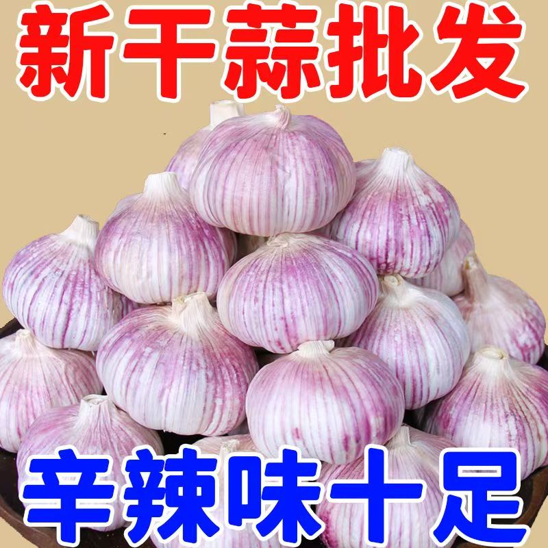 【2025金乡新干蒜】新晒干蒜大蒜 蒜香浓郁辛辣十足 整箱包邮
