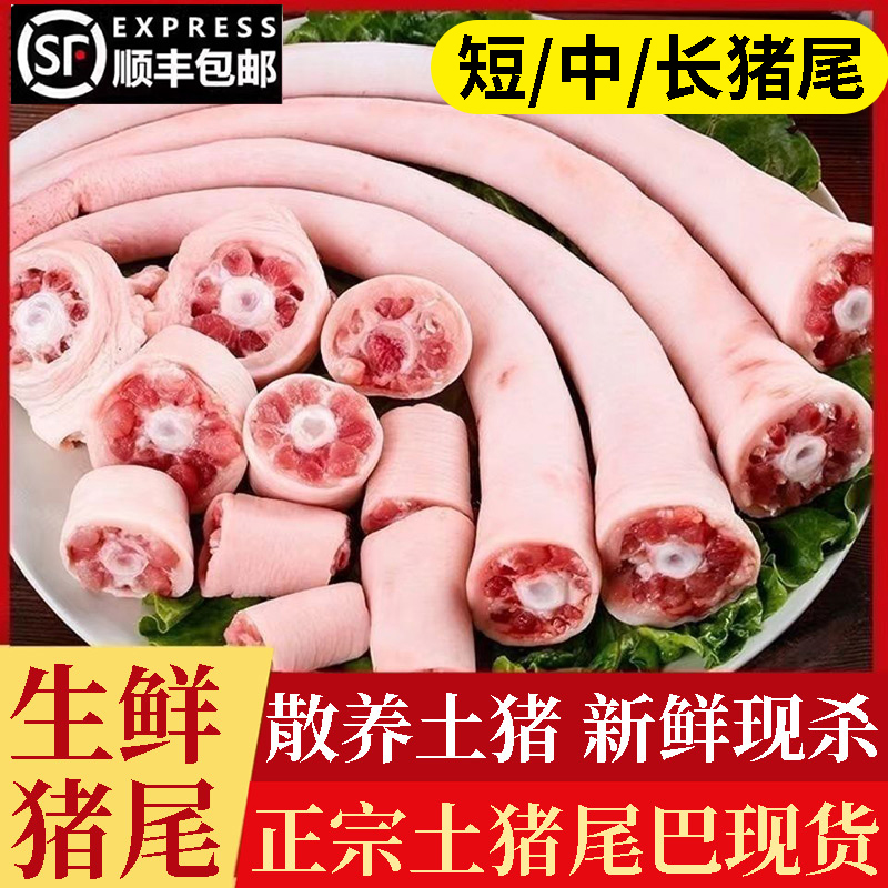 【顺丰包邮】新鲜猪尾巴现杀整根干净无毛短猪尾巴中猪尾巴长猪尾巴