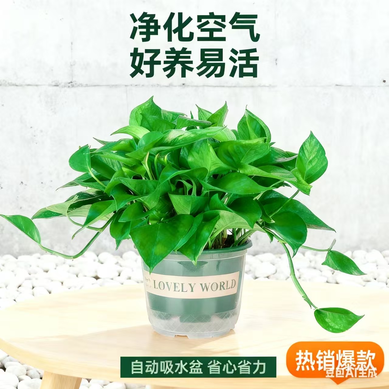 绿萝盆栽绿植盆栽室内绿植吸甲醛净化空气水培植物花卉绿植盆栽