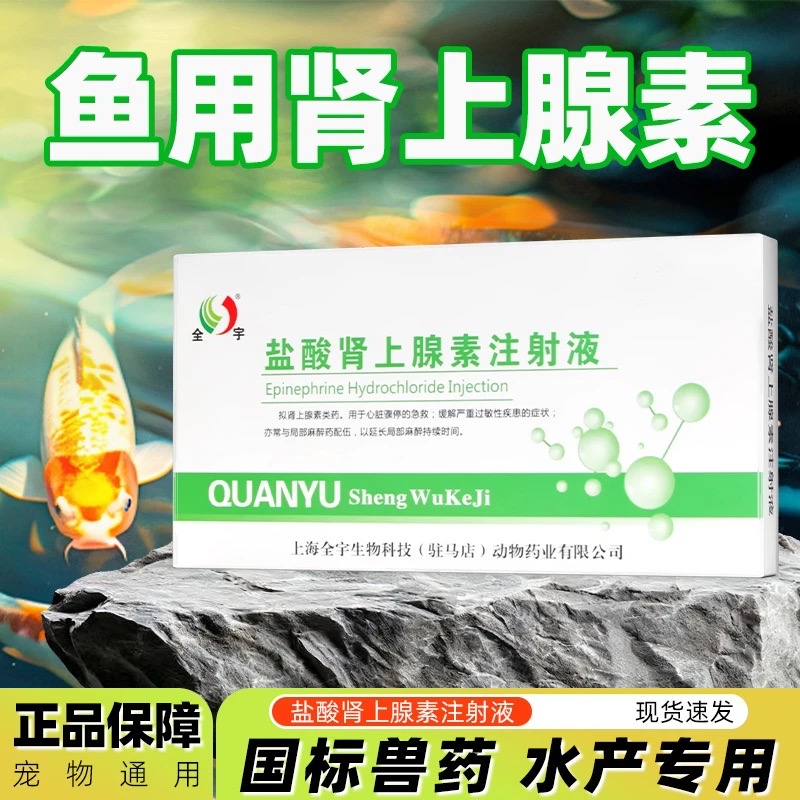 D鱼用盐酸肾上腺素注射剂适用于野钓黑坑草鱼卡鲢黑鲈鱼