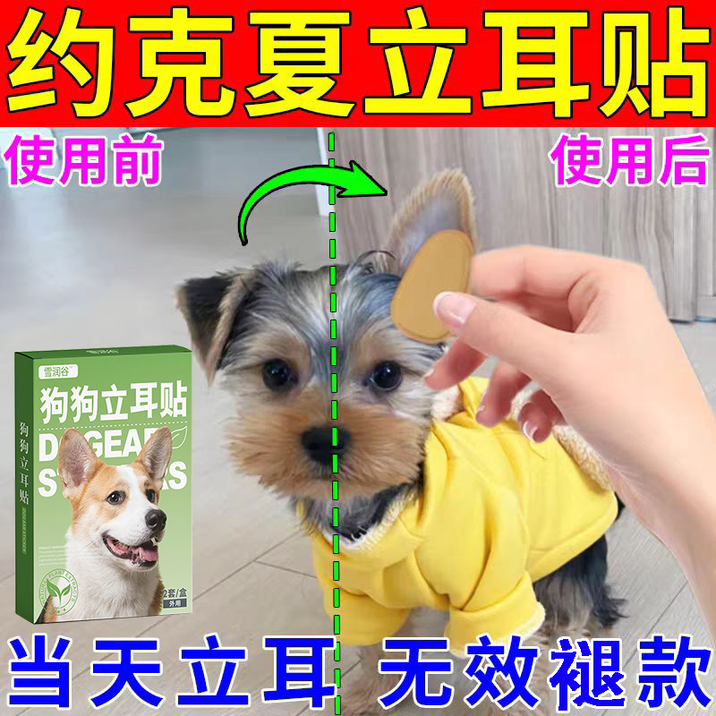 约克夏专用立耳神器小型犬立耳贴狗狗竖耳辅助耳朵固定器宠物用品