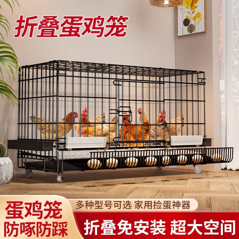 鸡笼子家用大号室内带厕所折叠鸡笼自动出蛋鸡笼鸭笼鹅笼清仓