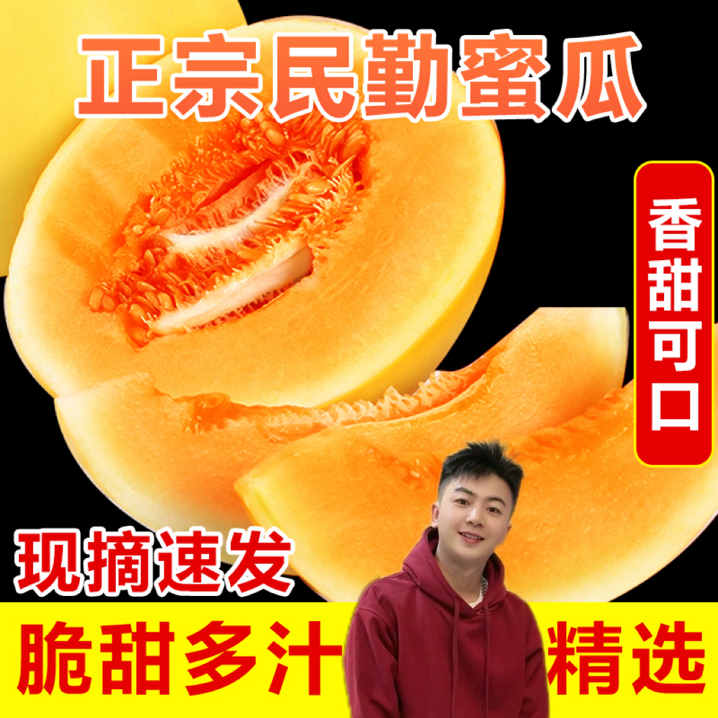 （GS高氏精选瓜）民勤沙漠蜜瓜金红宝，源产地甘肃民勤发