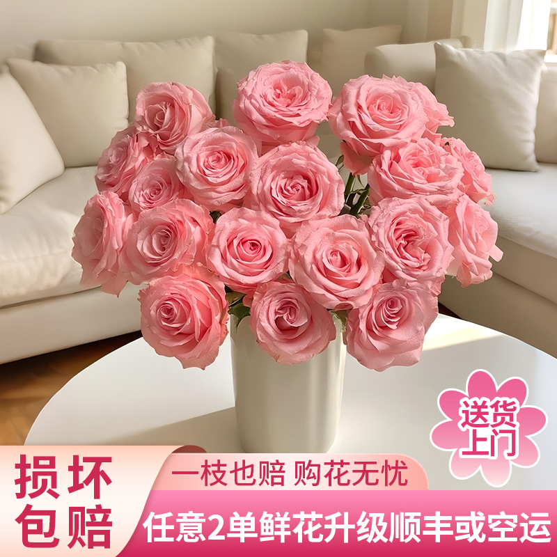【黄梦宇】戴安娜单头玫瑰全场鲜花任意满两单及以上包邮送货上门