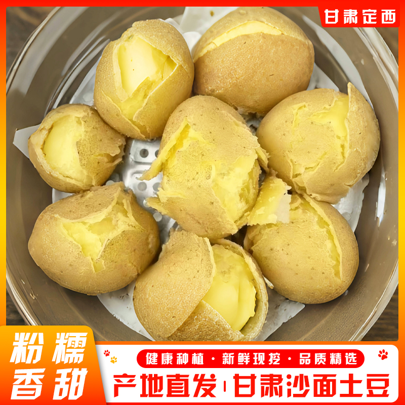 新鲜现挖土豆批发甘肃定西黄皮番茄黄心沙面土豆洋芋马铃薯炖肉