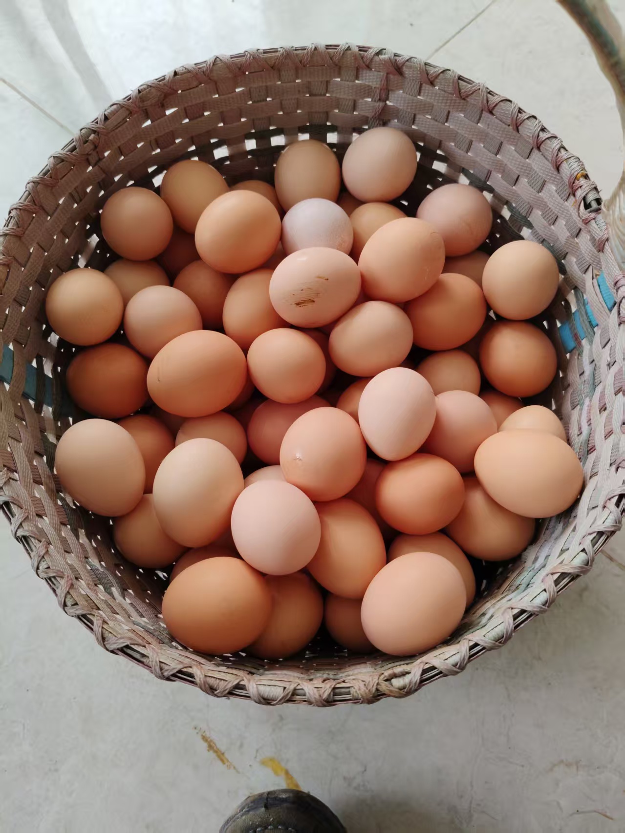 50枚精选中号柴鸡蛋