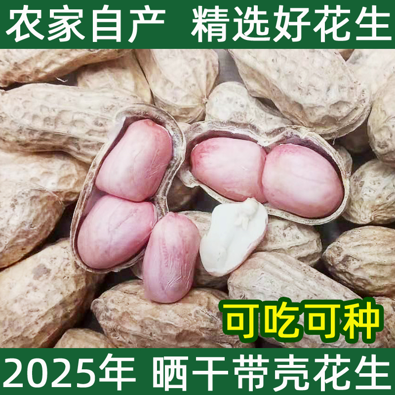 25年带壳生花生自然晒干新鲜原味小白沙花生种子级品质河南1斤5斤