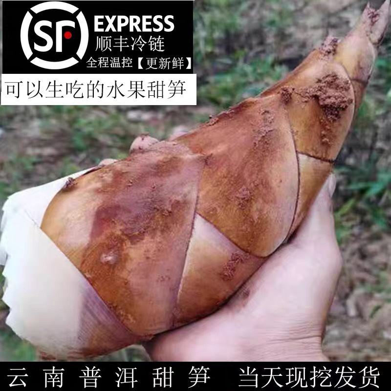 【顺丰包邮】云南新鲜甜笋深山自然生长口感爽口可生吃甜龙笋