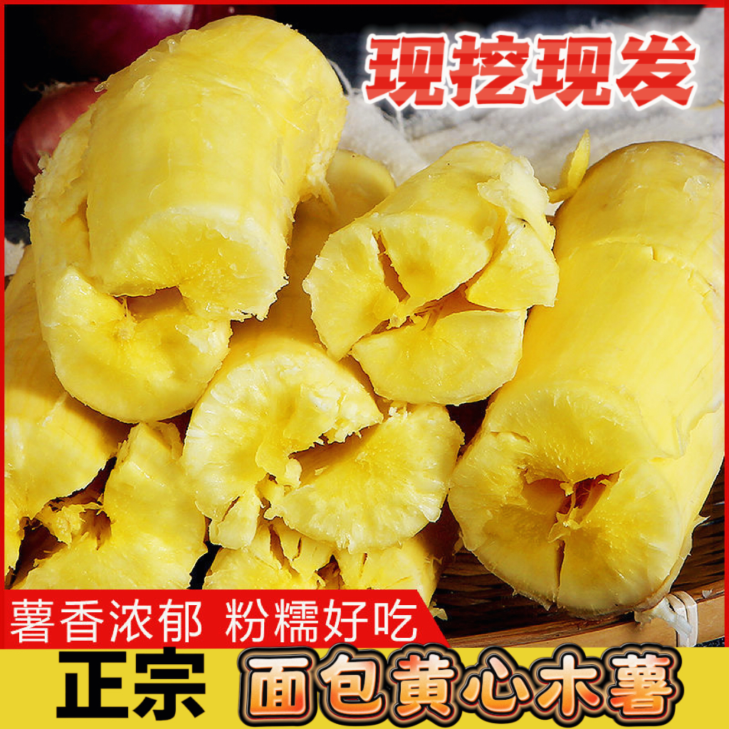 今年广西正宗 灵山黄肉木薯  黄心木薯糖水粉糯 新鲜现挖