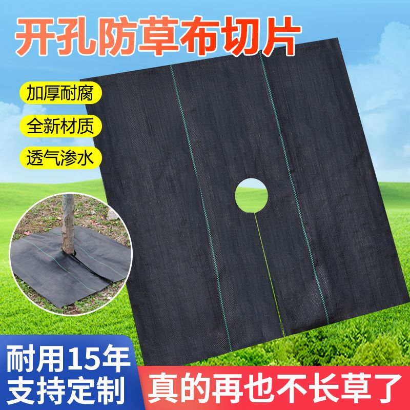 防草布打孔切片大棚加厚除草布黑色果园果树盖草布遮草地布黑地膜