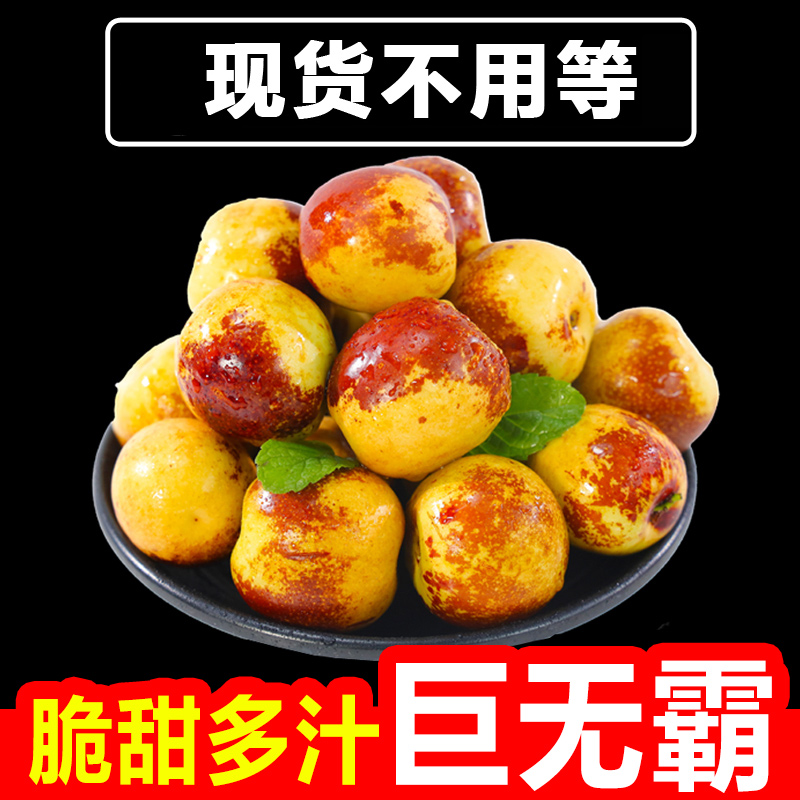 【巨无霸】顺丰陕西大荔冬枣脆甜皮薄2/3/5斤原产地直发包邮到家