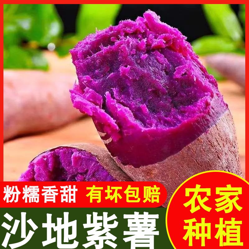 【沙地紫薯新鲜】现挖紫番薯软糯香甜地瓜板栗红薯蜜薯蔬菜当季鲜果