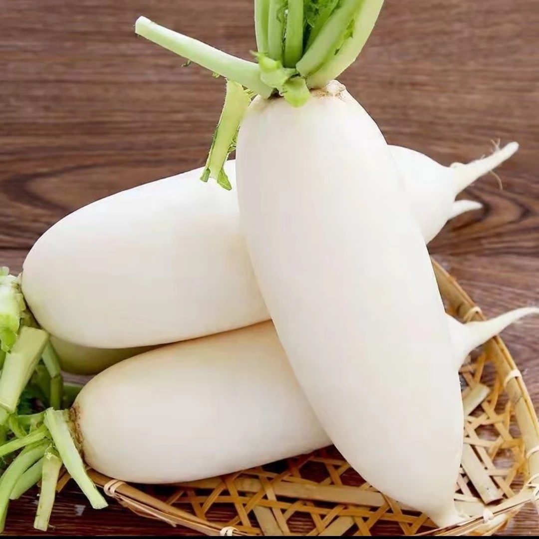 贵州威宁农家自种高山萝卜新鲜美味