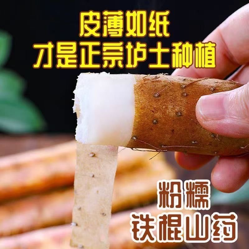 河南焦作温县垆土铁棍山药新鲜现挖香甜粉糯温县原产地直发3斤装