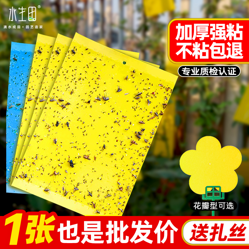 黄板双面粘虫板诱虫蓝板纸贴黄色灭小飞虫果园大棚园艺果蝇诱捕器
