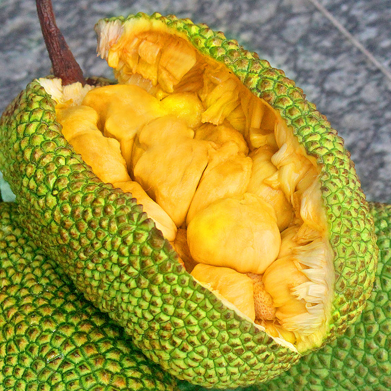 海南榴莲蜜当季新鲜水果香甜软糯热带水果三亚榴莲批发一整个包邮