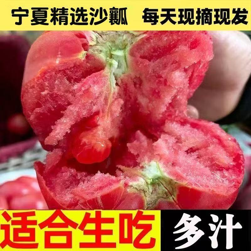 宁夏新鲜采摘自然成熟露天沙瓤西红柿可生吃做菜的当季水果孕妇果