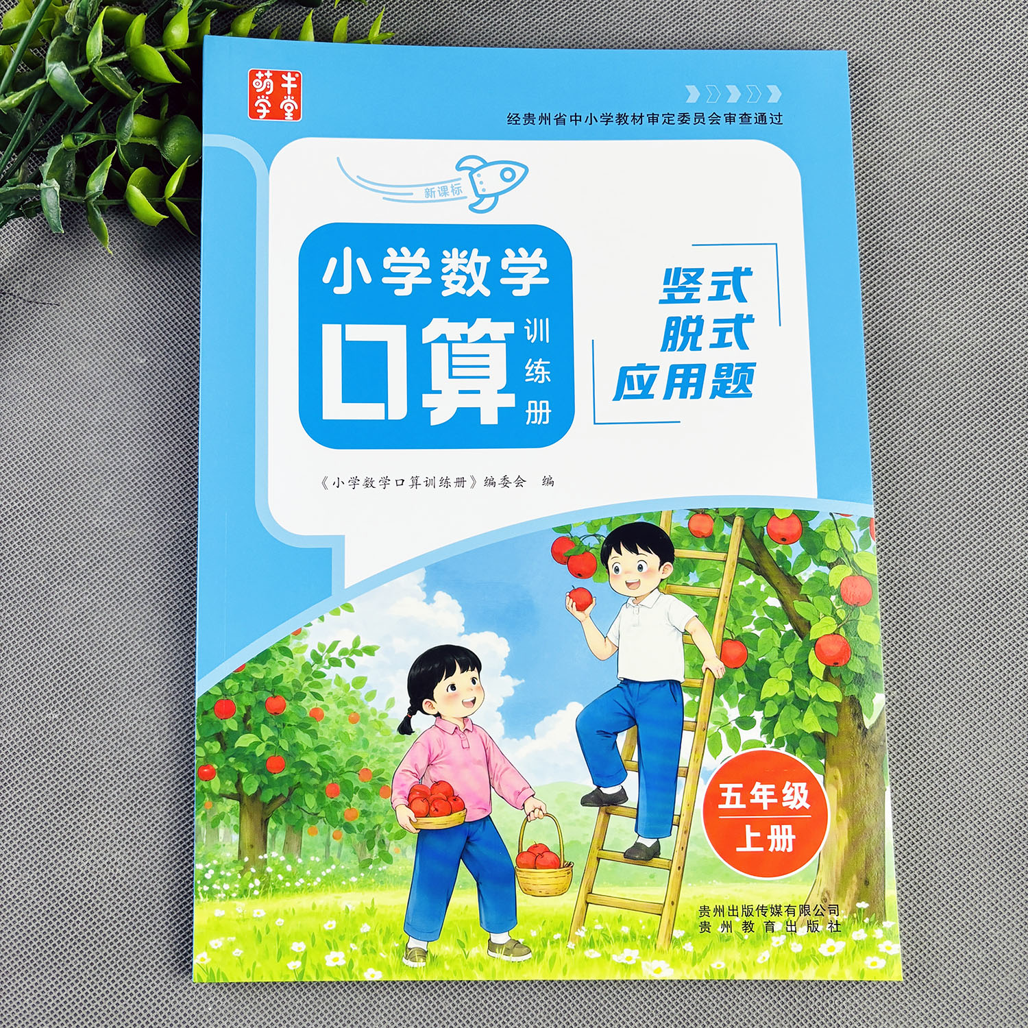 五年级上册数学练习册口算竖式应用题三合一口算题卡竖式计算