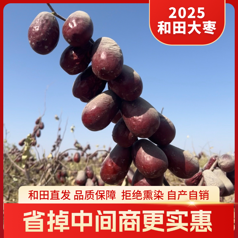 （新疆和田直发）新疆和田一级大枣2025年新鲜采摘自然晾晒皮薄肉厚