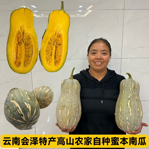 云南会泽特产高山农家自种蜜本南瓜