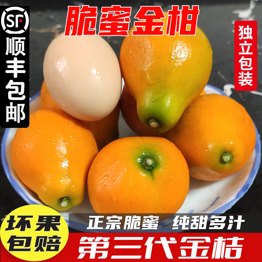 广西融安脆蜜金柑第三代金桔桂林当季水果脆皮小金橘滑皮鲜果纯甜
