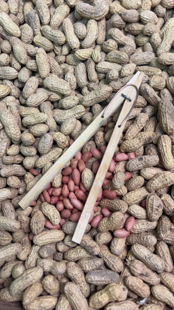 手工制作剥花生夹子（省时省力，手不疼神器）