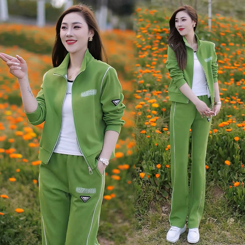 休闲运动套装立领休闲长袖显瘦气质秋装卫衣时尚运动服开衫广场舞