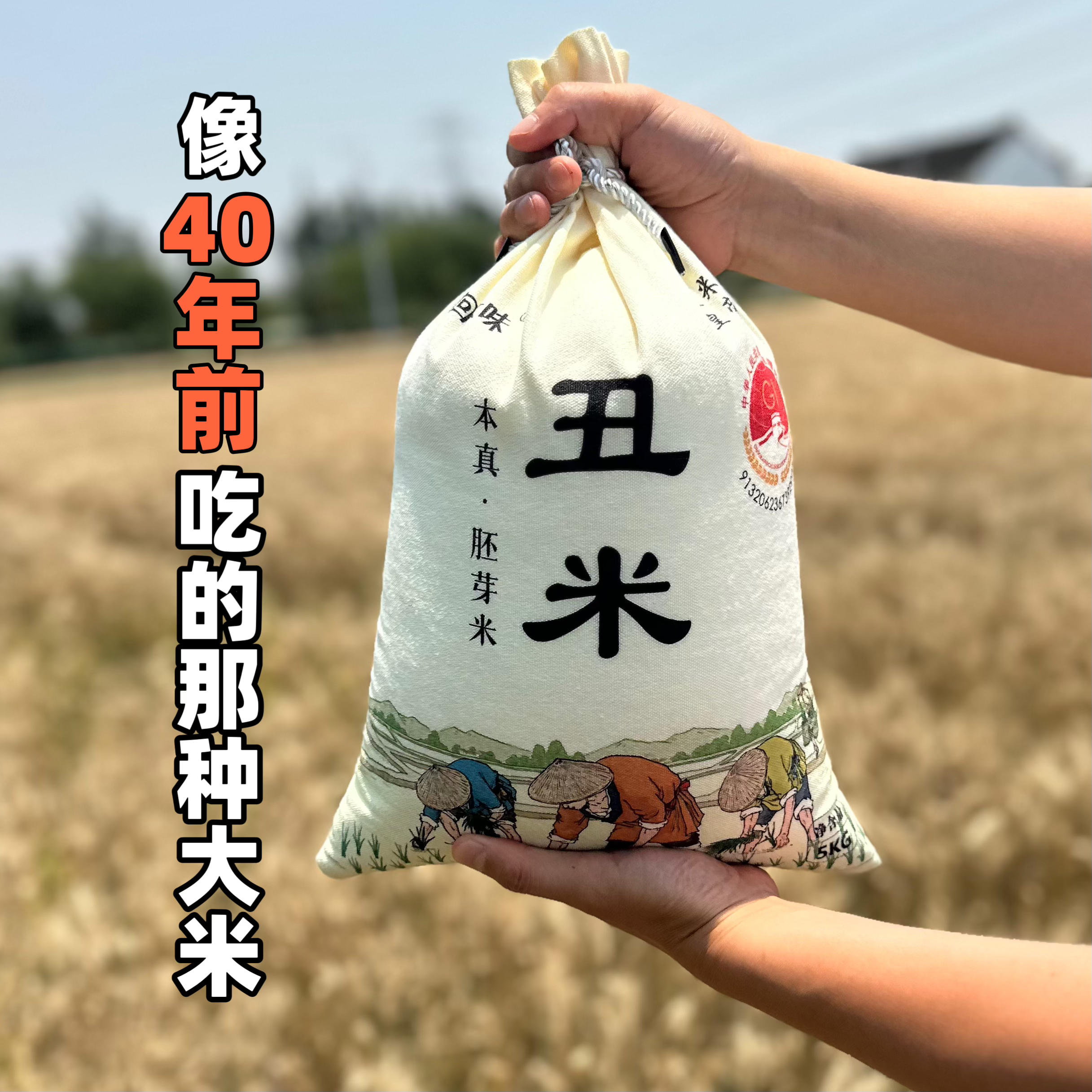 胚芽米 丑米 正宗晚稻粳米 现磨健康 自留种 大米 胚芽 人工除草