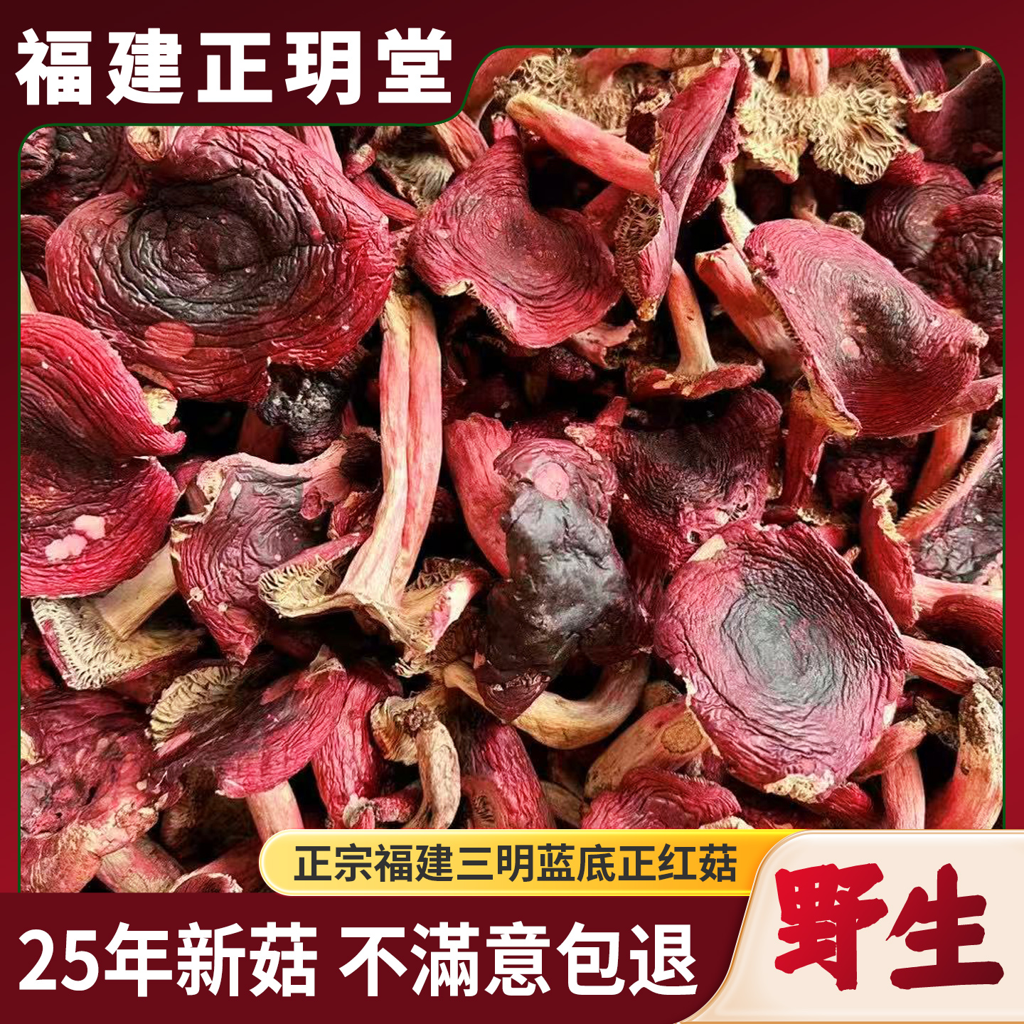 2025年新货福建三明红菇干货月子菇适合孕产妇食补开菇