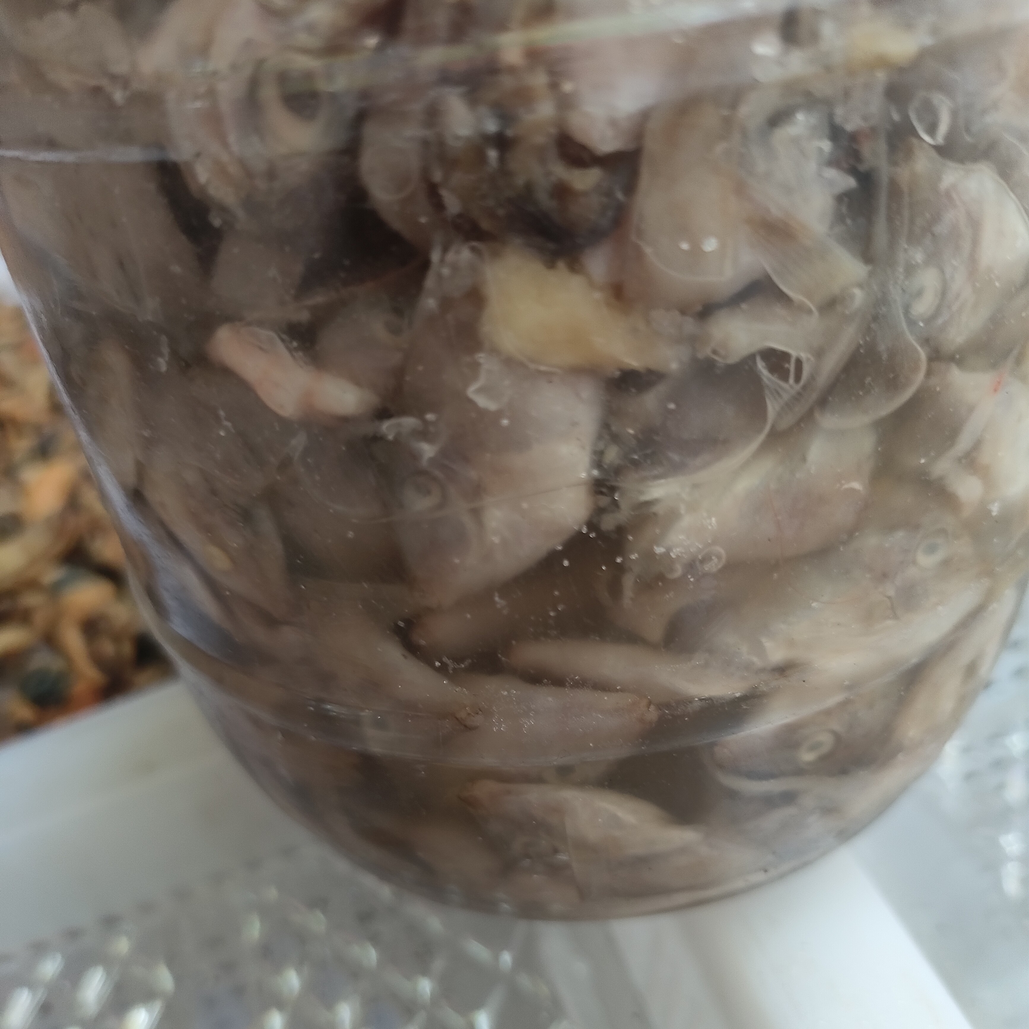 福建特产湄洲岛鲜美味的腌制的三角鱼