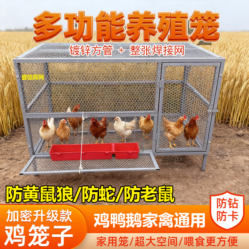 家用加厚加密折叠鸡笼大号特大号防黄鼠狼养殖鸡舍加密冲孔网笼子