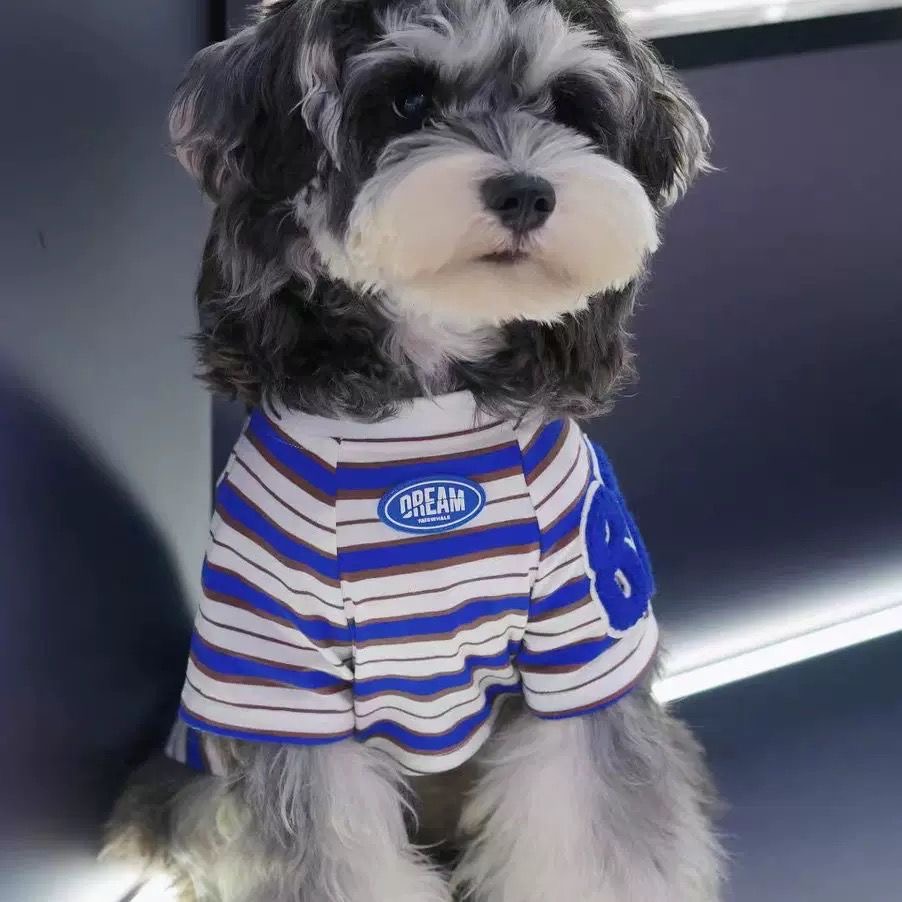 宠物衣服小狗狗夏天背心款薄款条纹款约克夏泰迪比熊可爱衣服透气