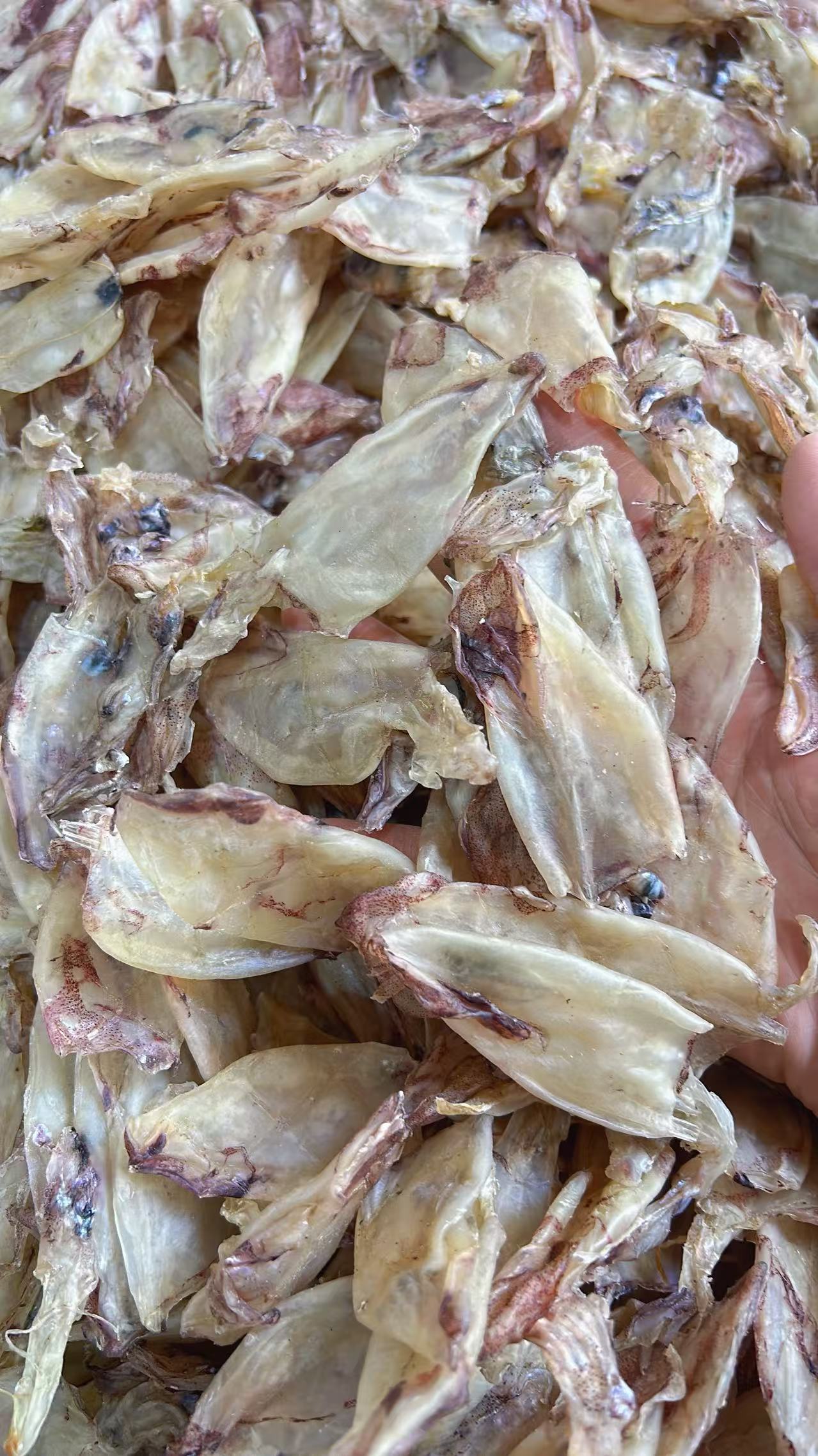 闽南特产无沙淡干鱿鱼锁管煲汤煮粥提鲜食材