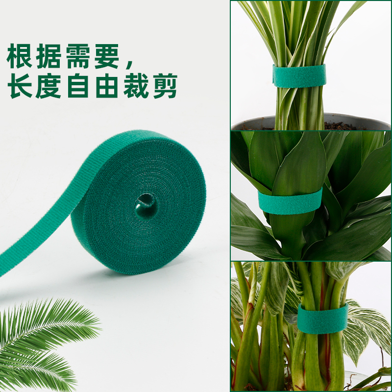 CPAI植物绑带爬藤植物造型魔术贴绑带双面粘园艺扎线捆绑定型支撑