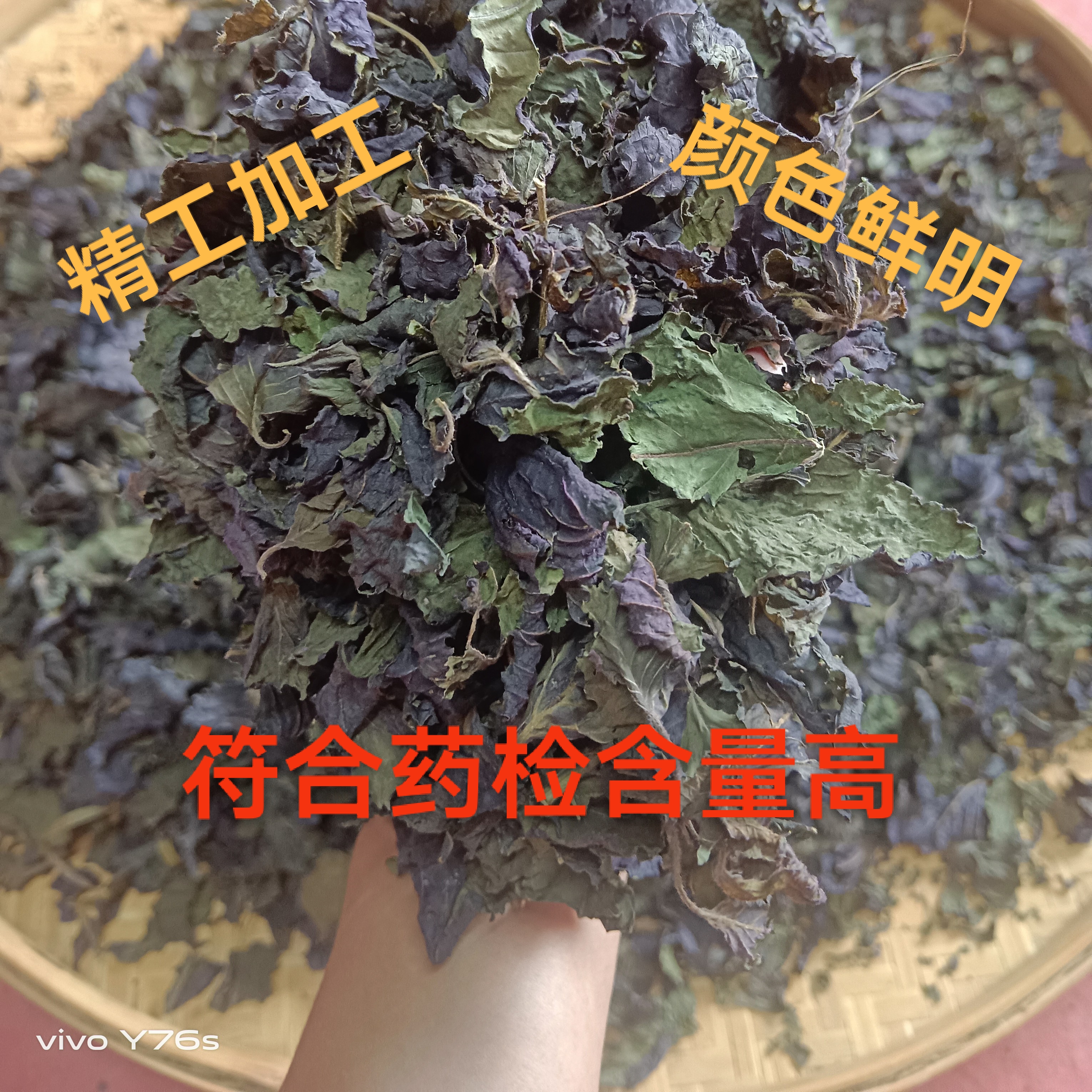 玉林产地货-药食同源紫苏切叶无杆味香可做菜煮鱼泡水喝，买一送一