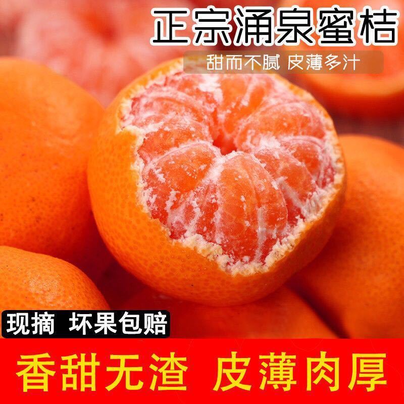 【顺丰包邮】临海新鲜涌泉蜜桔当季水果无核皮薄孕妇水果现摘无打蜡