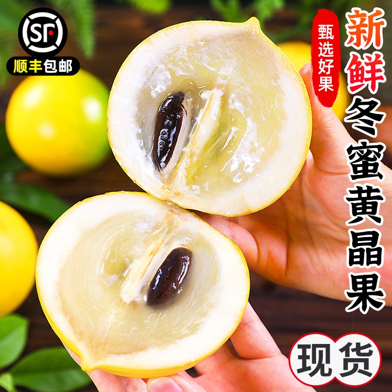 【中源推荐】云南黄晶果西双版纳水果冬蜜新鲜黄金果黄金牛奶果顺丰