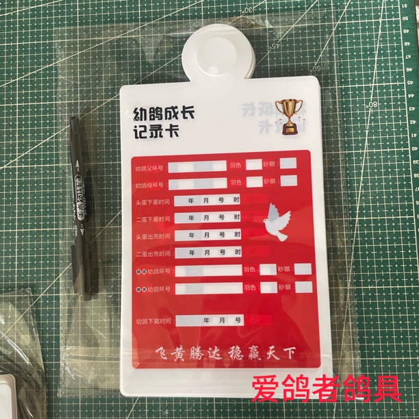 新款PP材质可擦型幼鸽成长记录卡鸽子用品血统书直系幼鸽记录卡