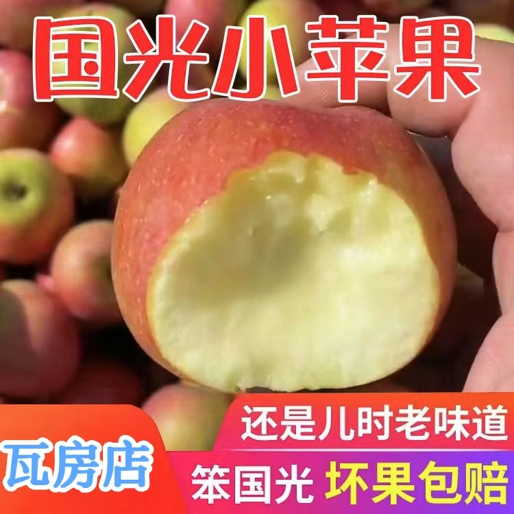 东北辽宁瓦房店小国光苹果老树国光苹果