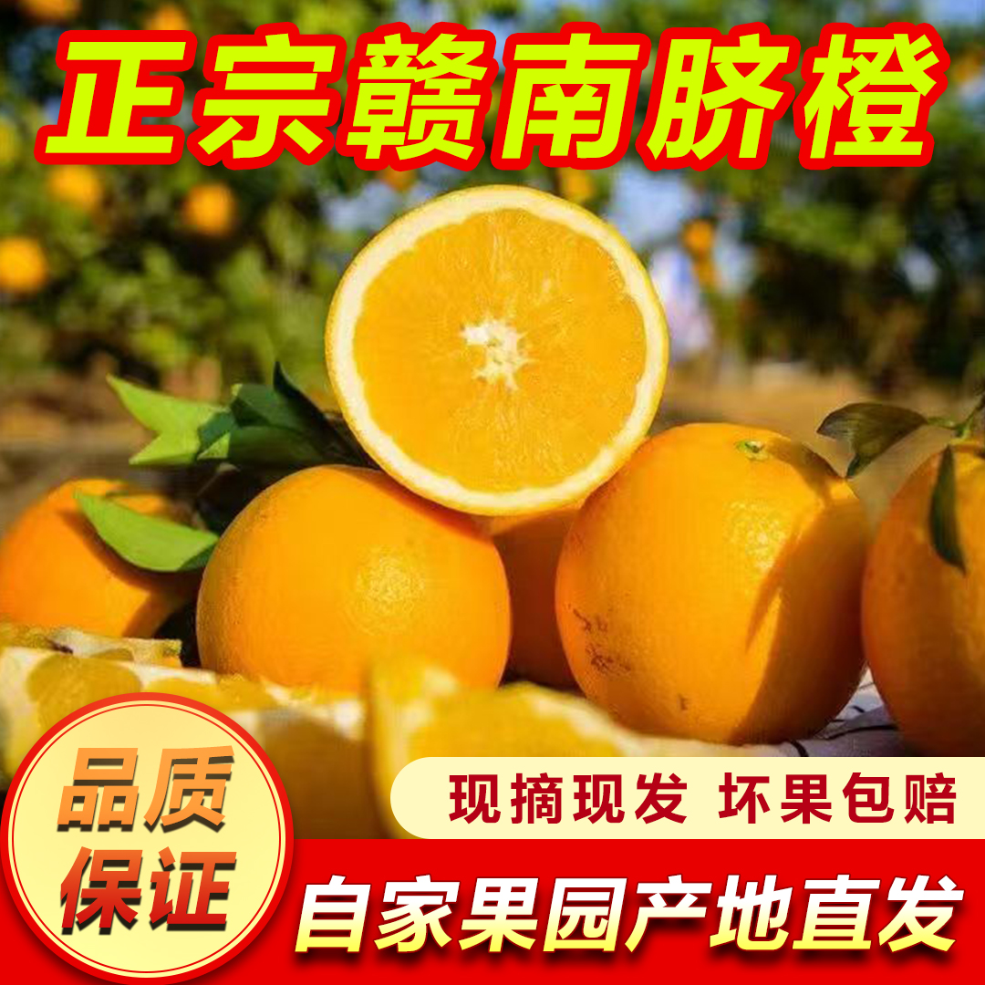 正宗江西赣南脐橙新鲜现摘现发农家产地直发 标准果 次果10斤20斤