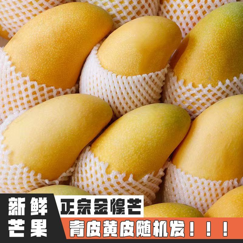 金煌芒广西新鲜大芒果当季水果特产新鲜现摘现发