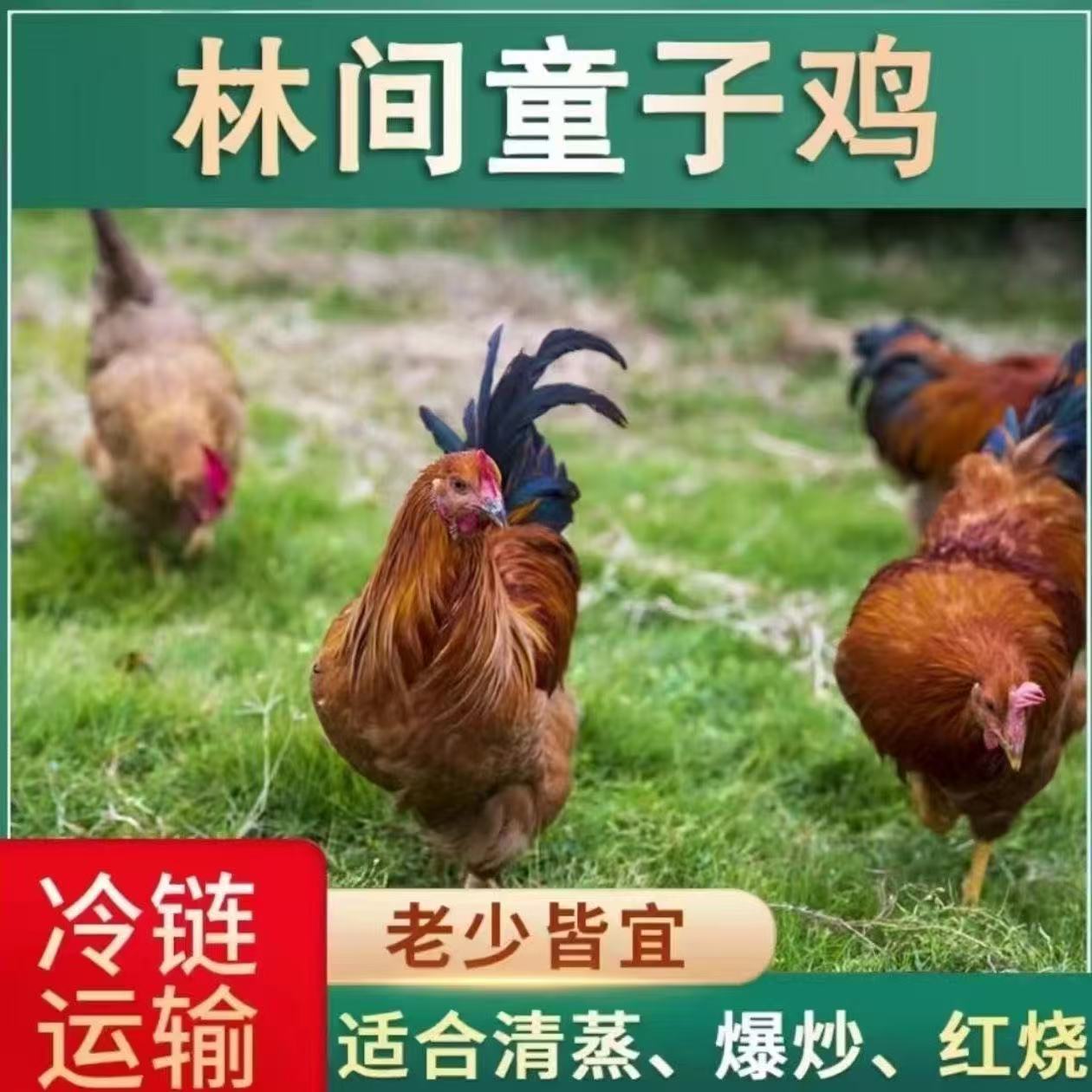 顺丰冷链【到手四只】放养走地鸡 黄脚童子鸡 不带内脏700g*4只Z