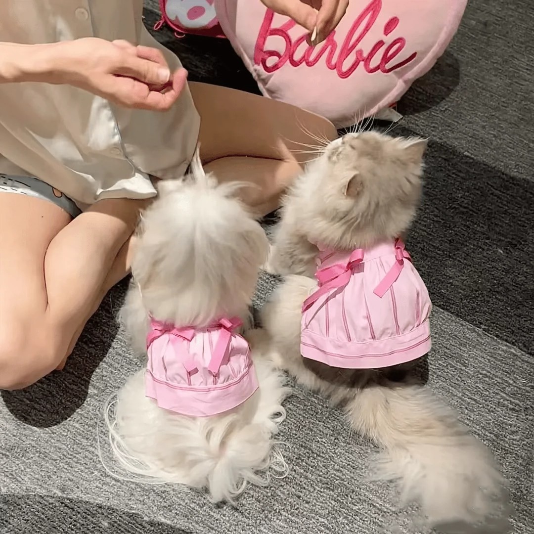 可爱狗狗猫咪宠物衣春夏薄款蝴蝶结吊带裙马尔济斯约克夏比熊适用