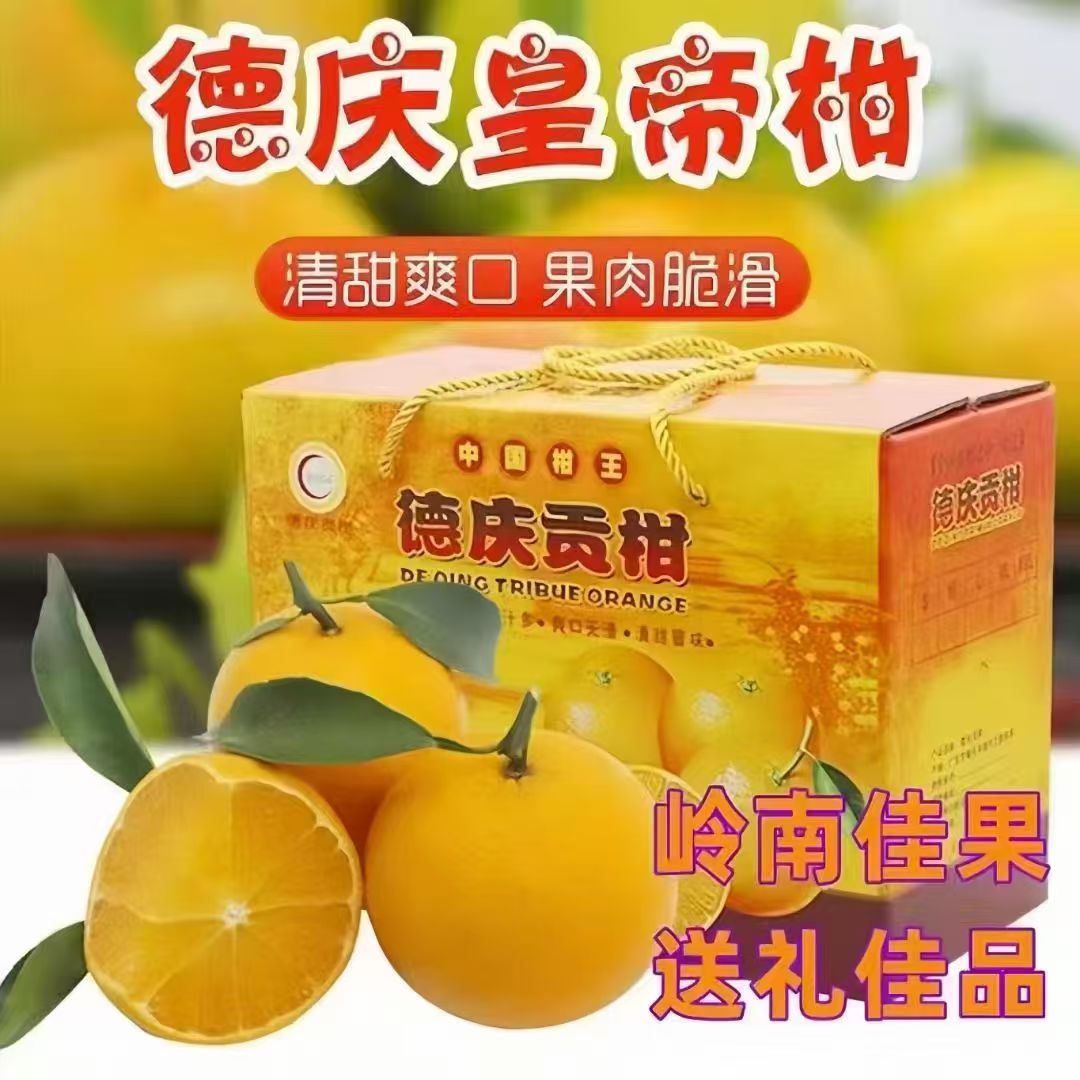 正宗广东德庆皇帝柑贡柑新鲜现摘皮薄爽口水果礼盒装