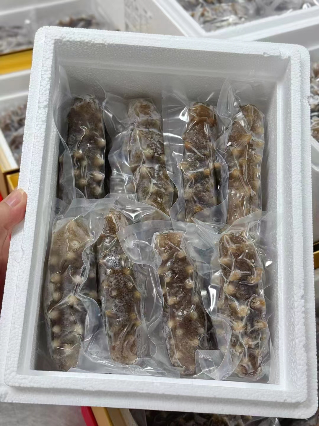 即食海参(小阿姨推荐)