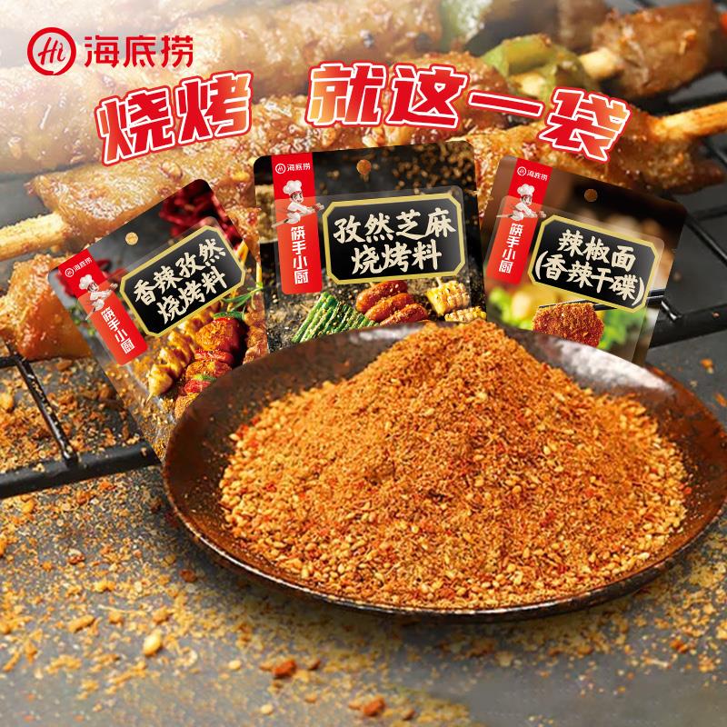 捞烧烤调料撒料家用烤肉孜然粉蘸料专用腌料烤串干 干料空气炸锅