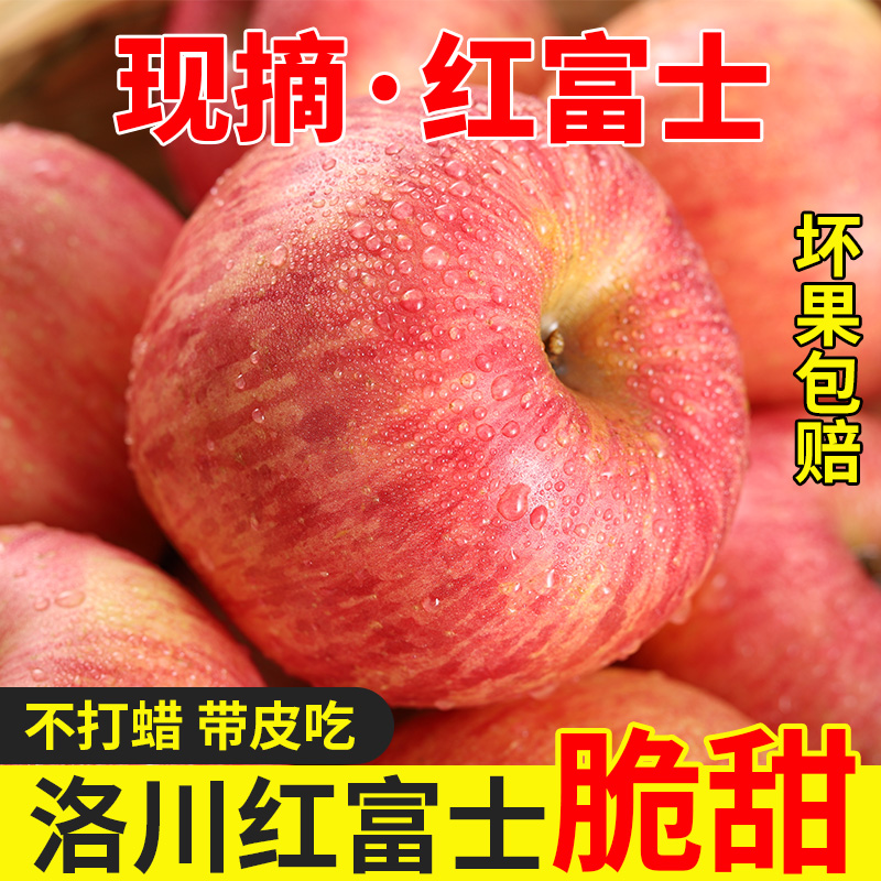 【2025新果现摘现发】陕西洛川红富士应季苹果5/10斤冰糖心坏果包赔
