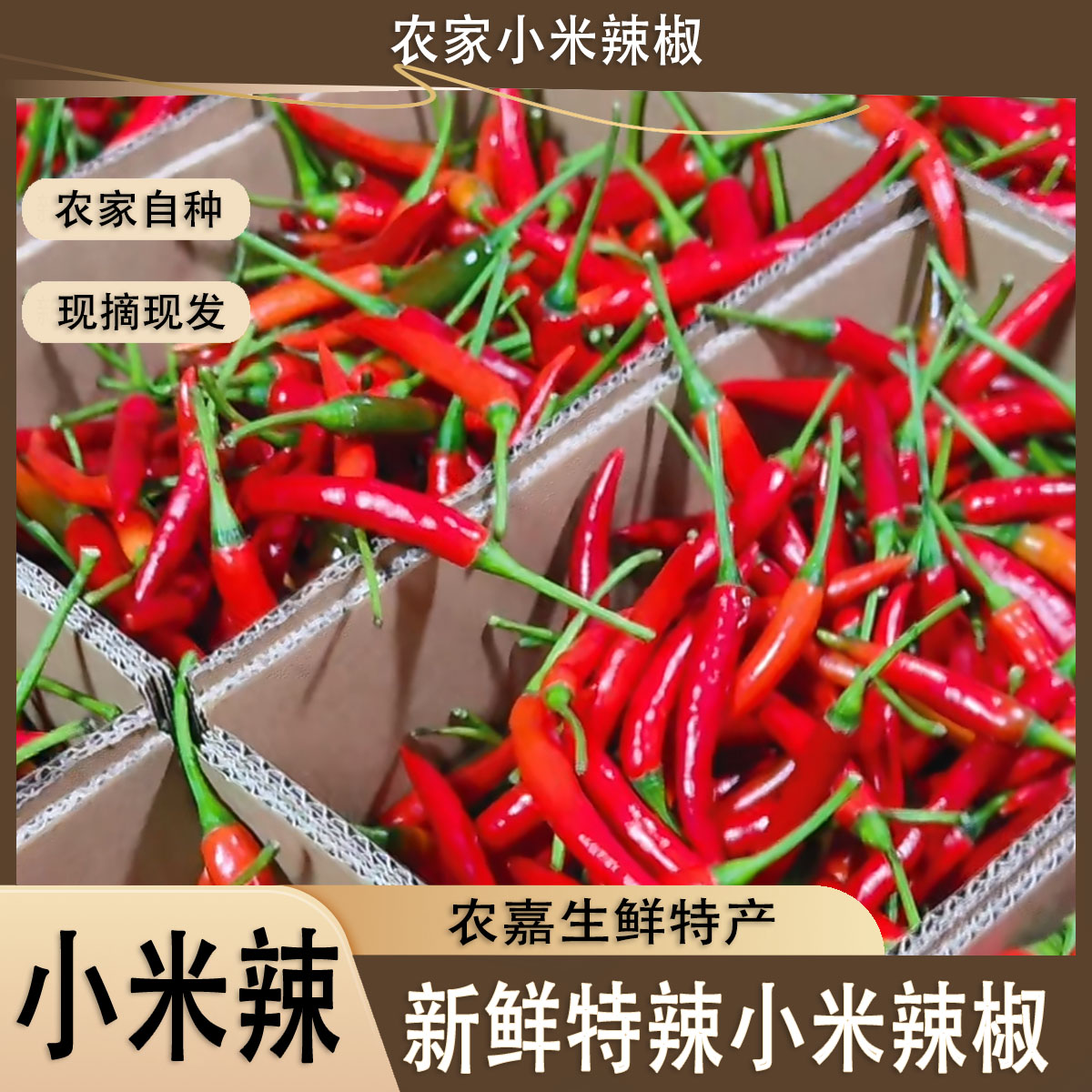 【新鲜小米椒】新鲜特辣小米辣椒农家露天种植产地直发红小米椒