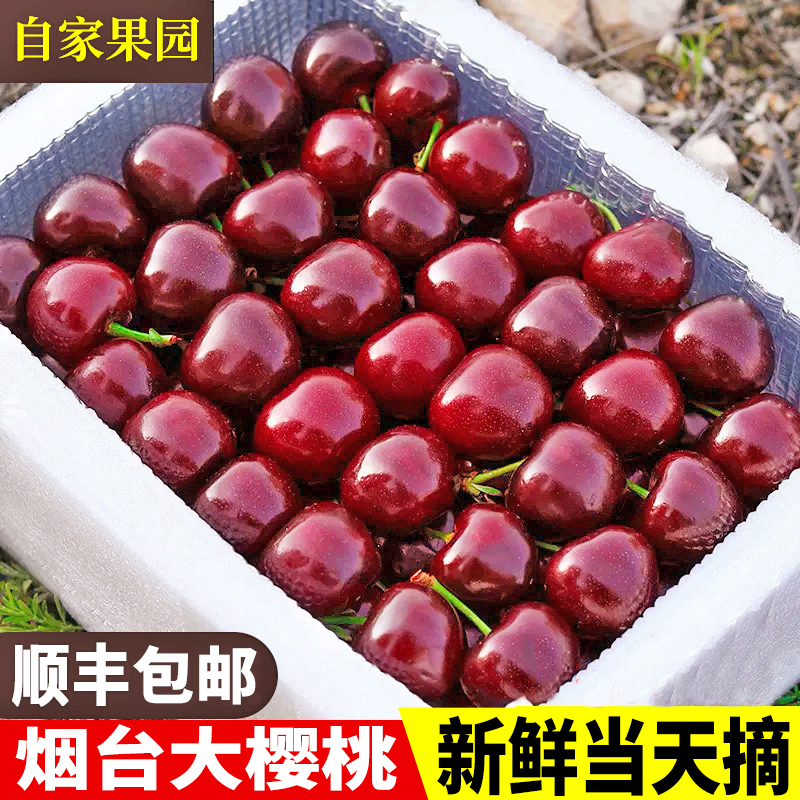 【萨米托★】烟台大樱桃新鲜水果酸甜山东车厘子应季批发