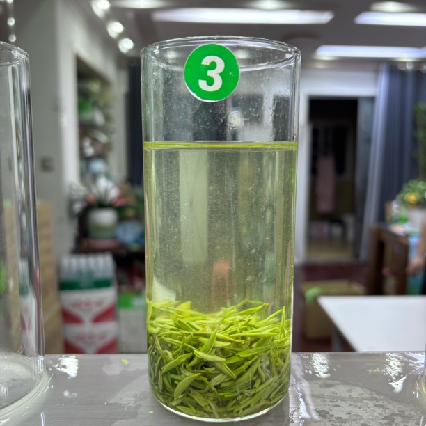 2025毛尖明前芽头清香淡雅泡茶经典